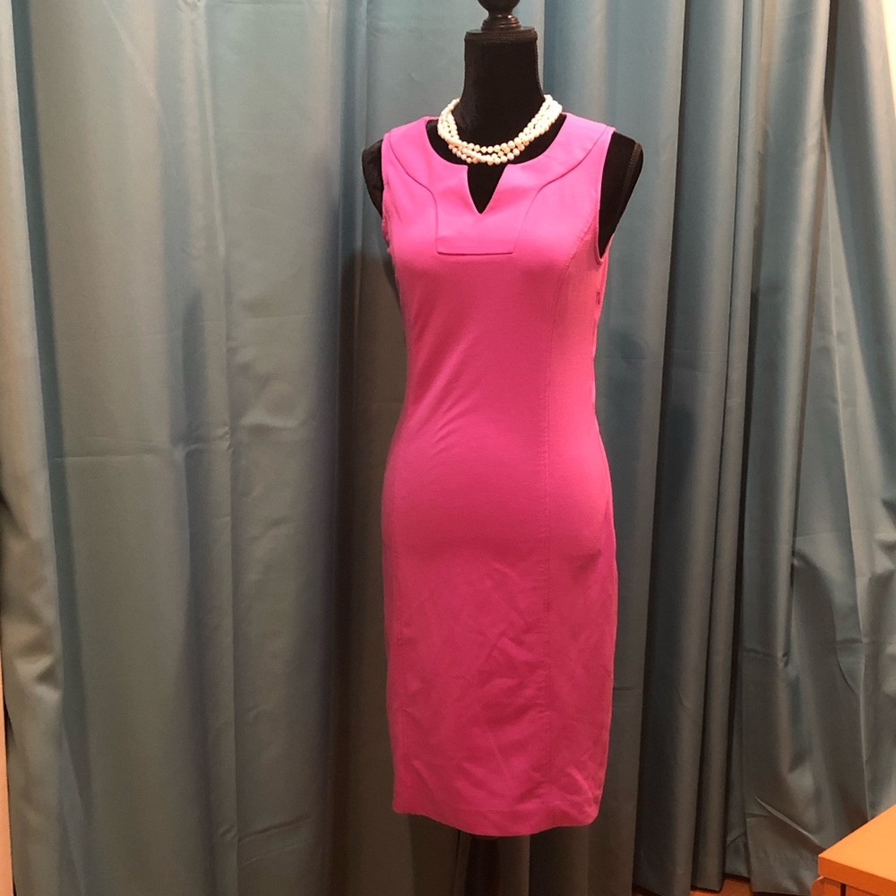 Banana Republic Hot Pink Sheath Dress 6